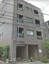 サウスコーラル