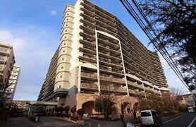 アルファスシティ大島