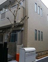 インブルーメンハイン